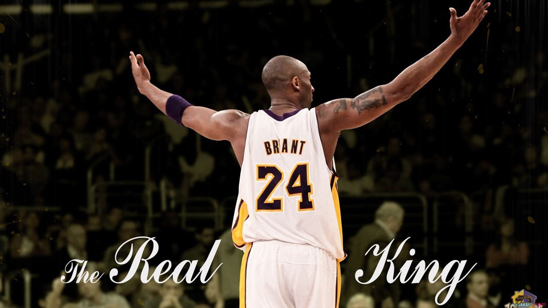 “华金·托比利亚的进攻反击与防守能力，帮助美洲狮队大幅提升竞争力”